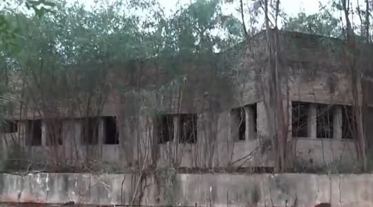 Predio del Ministerio de Salud, en estado de abandono, funciona como aguantadero