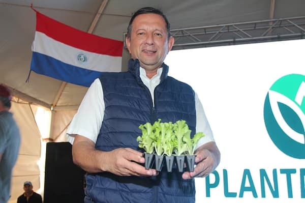 Juez admite imputación contra Pastor Soria y cúpula de Senave por corrupción