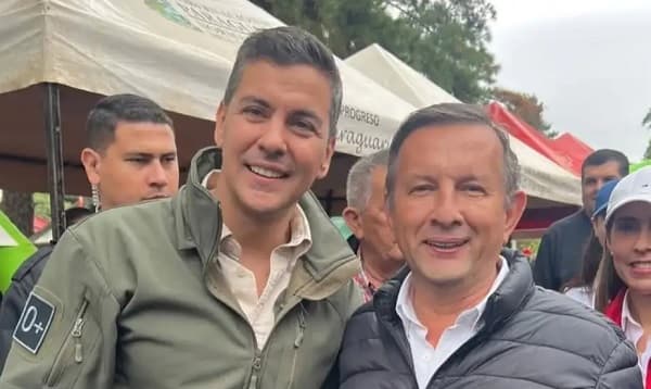 Peña remueve a Pastor Soria del Senave tras imputación