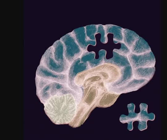 Seis estrategias científicas para mejorar la memoria