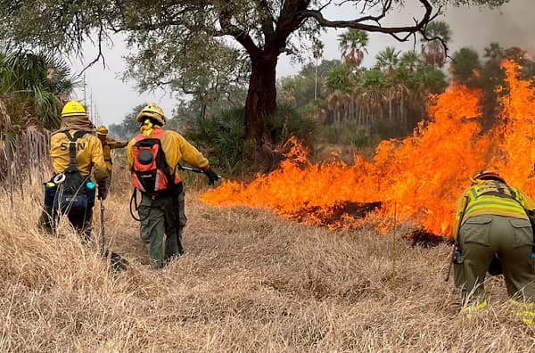 Incendios en Chovoreca: el JEM aún no informa resultados
