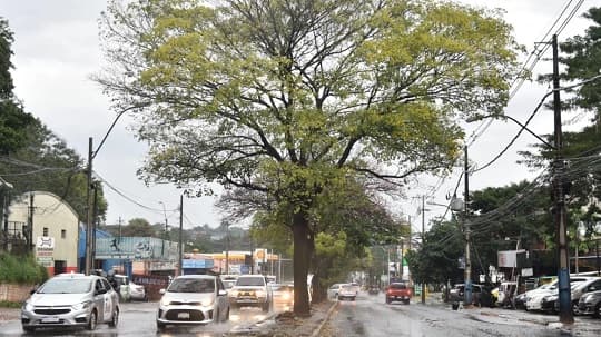 Lluvias, nieblas y frío marcaron el jueves