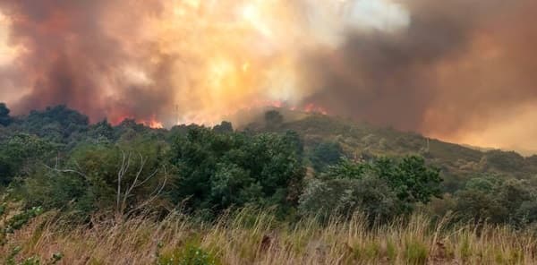 Ola de calor extrema desata incendios masivos en Europa