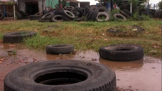 Salud pide eliminar criaderos de dengue tras lluvias