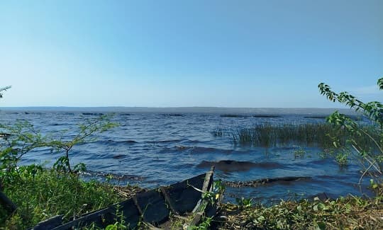 Martes cálido y con escasa probabilidad de lluvias
