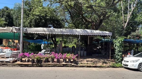 Floristas frenan intento de desalojo del IPS