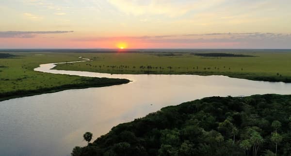 Biofestival impulsa ecoturismo y conservación en el Pantanal
