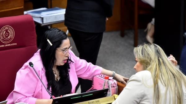 Yamy Nal amenaza con revelar casos peores en el Congreso si avanzan contra ella