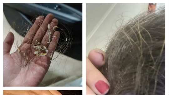 Mujer gana juicio por acoso laboral contra empresa de telefonía