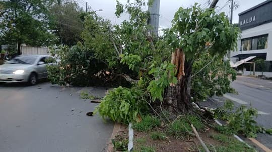Fuerte viento del sur provoca caída de árboles y carteles en Asunción e Itauguá