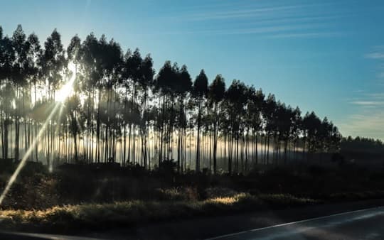 Se espera un jueves con amanecer fresco y tarde cálida