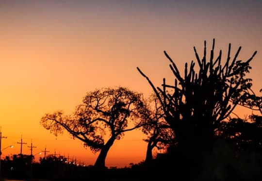 Jornada fresca a cálida con lluvias en el norte del país