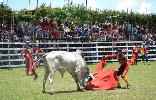 Toreros piden declarar la corrida de toros como patrimonio cultural y crear el “Día del Torero”