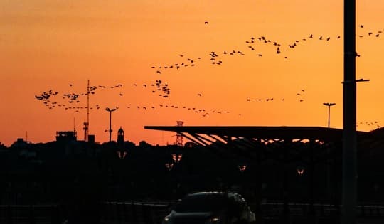Calor intenso y humedad marcarán el resto de la semana