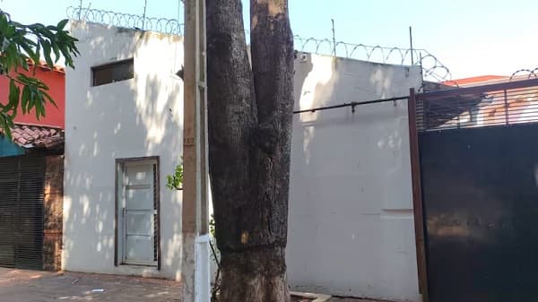 Fiscalía incauta documentos en casa de Lambaré, sospechan vínculos con Mafia de Pagarés