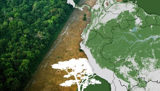 La Amazonía enfrenta una degradación acelerada que preocupa al mundo