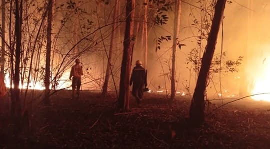 Bomberos controlan incendios en Asunción y Villeta: el fuego se inició por quema de basura y pastizales