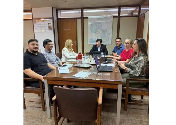 IPS y ANDE instalan mesa de trabajo para conciliar deuda histórica