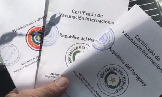 ¿Viajás a Brasil? Necesitás la vacuna contra la fiebre amarilla