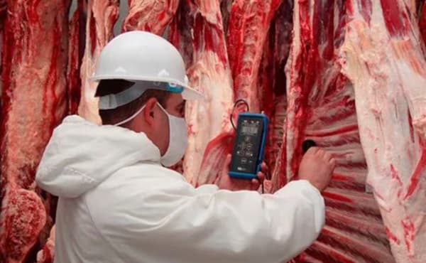 ARP niega pedido de Peña para bajar precio de la carne