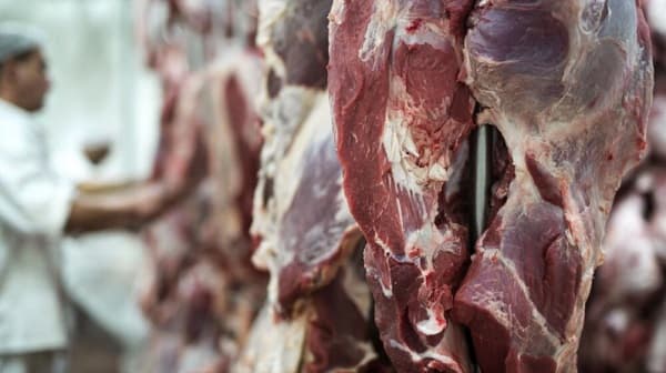 Carne: Conacom abre sumario contra siete frigoríficos