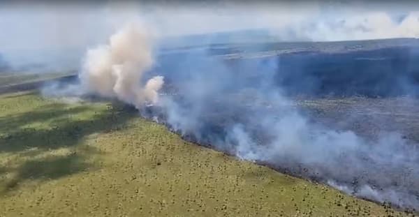 Fuego arrasa 600 hectáreas en el Bajo Chaco paraguayo