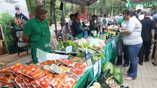 MAG anuncia cuatro ferias agrícolas en Asunción y Central