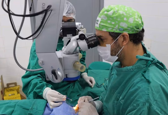 287 pacientes esperan un trasplante en Paraguay