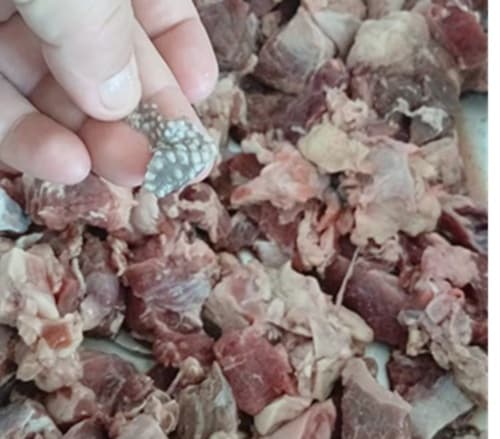 Hambre Cero: denuncian carne “de primera” para alumnos