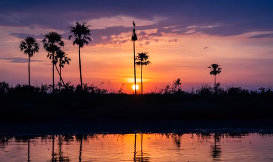 Convocan proyectos para proteger humedales en Paraguay