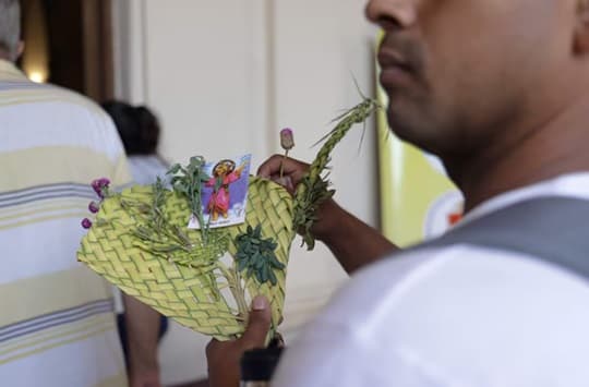 Domingo de Ramos: horarios de misas en el país