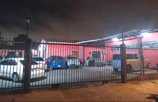 Investigan maltrato animal por muerte de gatitos en Asunción